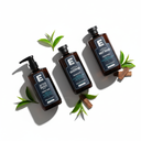Cedar Noir — Editorial with Exact Labels